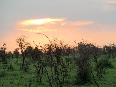 Kruger Nationalpark