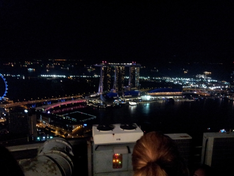 Singapore - Blick vom Helikopterlandeplatz Singapore - Blick vom Helikopterlandeplatz