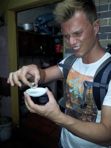 Hanoi - Schlangenbeschw&ouml;rer