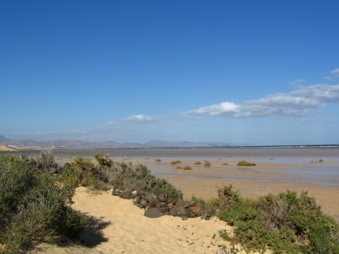 Fuerteventura