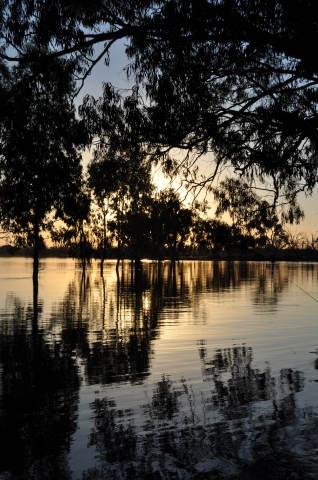 Renmark