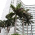 Mondrian South Beach