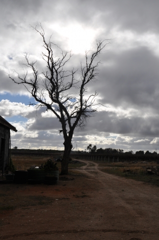 Renmark