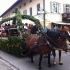 Siegertsbrunn - Leonhardiritt 2012 - Siegertsbrunn - Leonhardiritt 2012 -