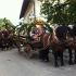 Siegertsbrunn - Leonhardiritt 2012 - Siegertsbrunn - Leonhardiritt 2012 -