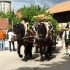 Siegertsbrunn - Leonhardiritt 2012 - Siegertsbrunn - Leonhardiritt 2012 -