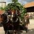 Siegertsbrunn - Leonhardiritt 2012 - Siegertsbrunn - Leonhardiritt 2012 -