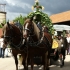 Siegertsbrunn - Leonhardiritt 2012 - Siegertsbrunn - Leonhardiritt 2012 -