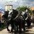 Siegertsbrunn - Leonhardiritt 2012 - Siegertsbrunn - Leonhardiritt 2012 -