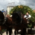Siegertsbrunn - Leonhardiritt 2012 - Siegertsbrunn - Leonhardiritt 2012 -