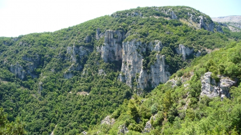 Vence