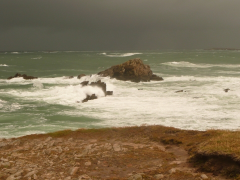 La Trinité-sur-Mer - Cote Sauvage La Trinité-sur-Mer - Cote Sauvage