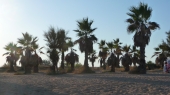 Unser Badestrand