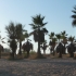Unser Badestrand Unser Badestrand