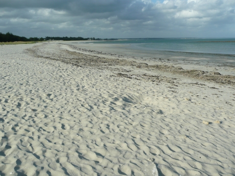 Île-Tudy - Strand in Ile-Tudy Île-Tudy - Strand in Ile-Tudy