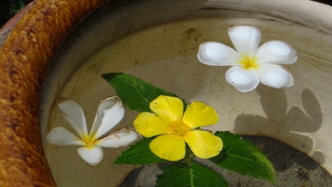 Nha Trang