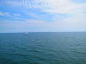 Toronto Island