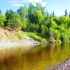 Campground Wolfs River