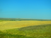 Alberta