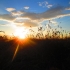 Sunset Alberta