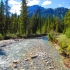 Campground i de nöchi vo Kicking Horse Campground i de nöchi vo Kicking Horse