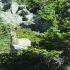Bighorn Sheep Bighorn Sheep