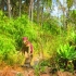 Jurassic Park Jurassic Park
