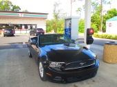 &uuml;se Ford Mustang