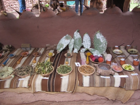 Pisac & das Urubambatal - Färbemittel Pisac & das Urubambatal - Färbemittel