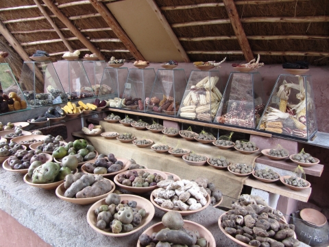 Pisac & das Urubambatal - viele Sorten Mais und Kartoffeln Pisac & das Urubambatal - viele Sorten Mais und Kartoffeln