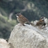 am Sonnentor am Sonnentor