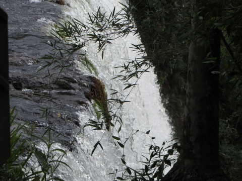 Iguaçu- Wasserfälle Iguaçu- Wasserfälle