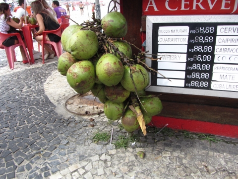 Estado do Rio de Janeiro - Kokosnüsse zum Trinken Estado do Rio de Janeiro - Kokosnüsse zum Trinken