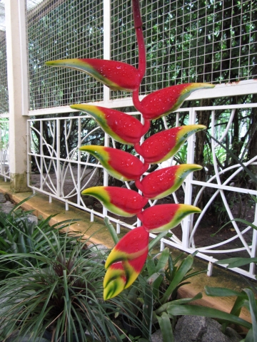 Rio de Janeiro, Botanischer Garten Rio de Janeiro, Botanischer Garten