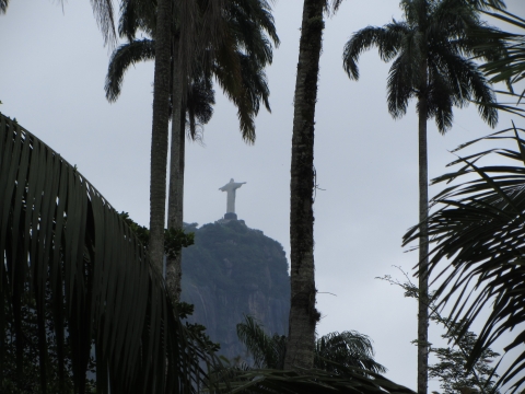 Rio de Janeiro, Botanischer Garten Rio de Janeiro, Botanischer Garten