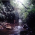 Banos - Urwald