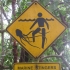 Cape Tribulation