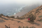 Pan de Azucar