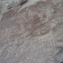 Pictoglyphen Pictoglyphen