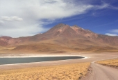 Laguna Miscanti