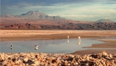 Salar de Atacama