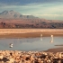 Salar de Atacama Salar de Atacama