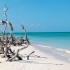 Cayo Jutias Cayo Jutias