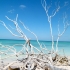 Cayo Jutias Cayo Jutias
