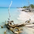 Cayo Jutias Cayo Jutias