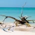Cayo Jutias Cayo Jutias