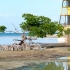 Cayo Jutias Cayo Jutias