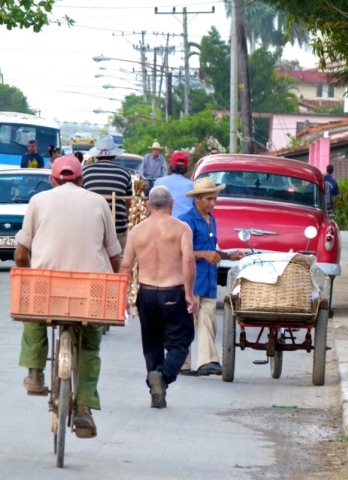 Provincia de Pinar del Río - Viñales Provincia de Pinar del Río - Viñales