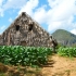 Valle Viñales Valle Viñales