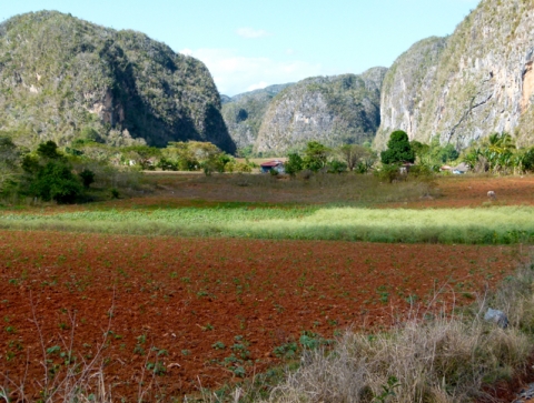 Provincia de Pinar del Río - Valle Viñales Provincia de Pinar del Río - Valle Viñales